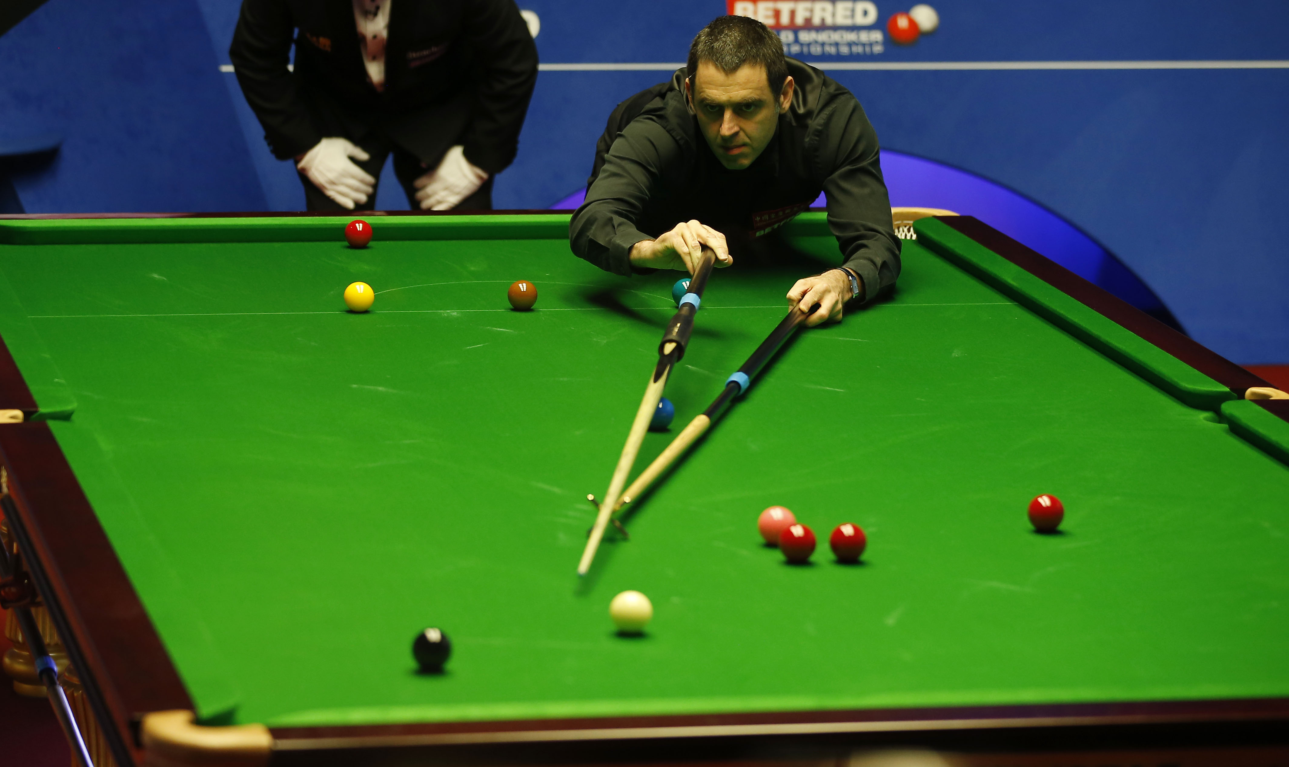 带来了巨大 带来了巨大