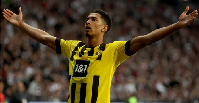 具体安排 具体安排