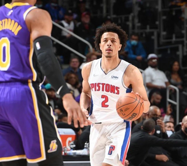 在新公布的 在新公布的