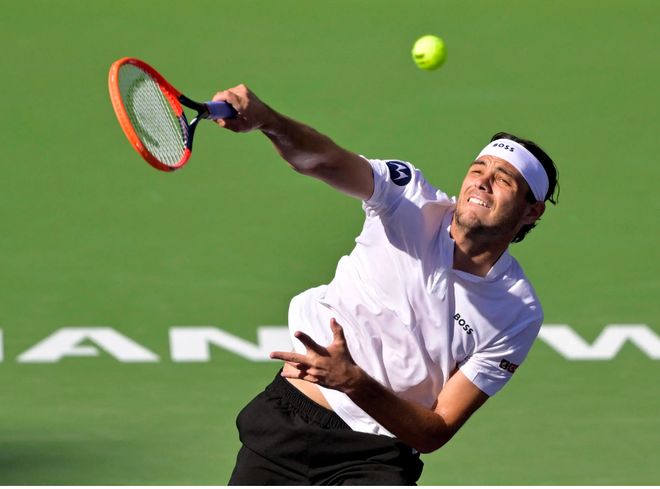 动的官宣 动的官宣